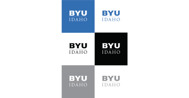 The pictures show an image showing how should only use official brand colors.