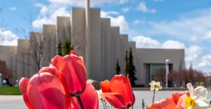 Pink and red tulips and yellow daffodils blooming in front of the Taylor building.