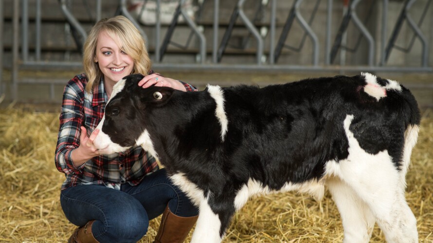 Erica Crabb kneeling down to pet a small calf