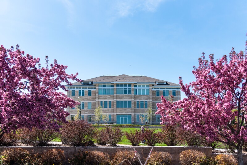 Beautiful spring flower trees in front of the Spori