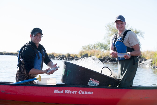 Two male students standing in a canoe holding fish on the Biology Fishing Field Trip.