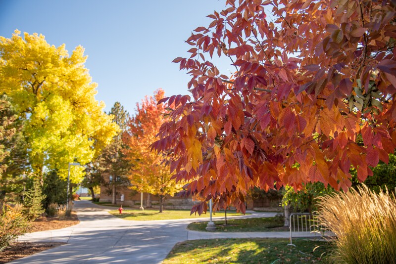 Fall Around Campus - October 2022