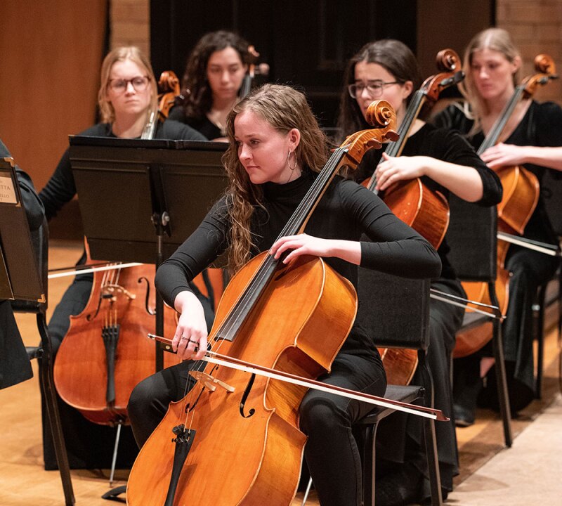 The Chamber Orchestra performing