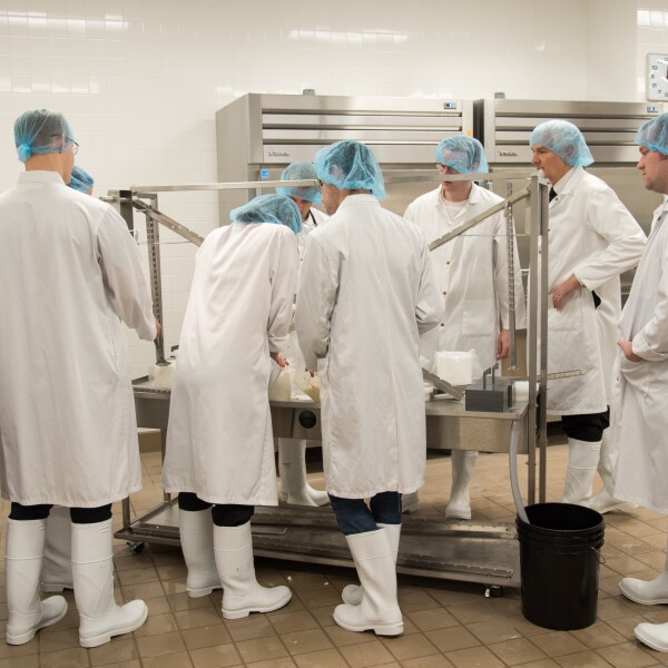 Students are making Queso Fresco Cheese at the Food Science 435 Lab.