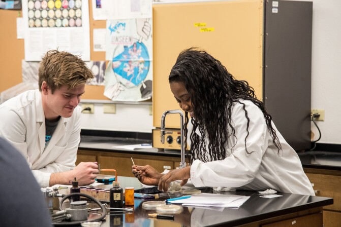 Students prepare petri dishes in a microbiology lab.