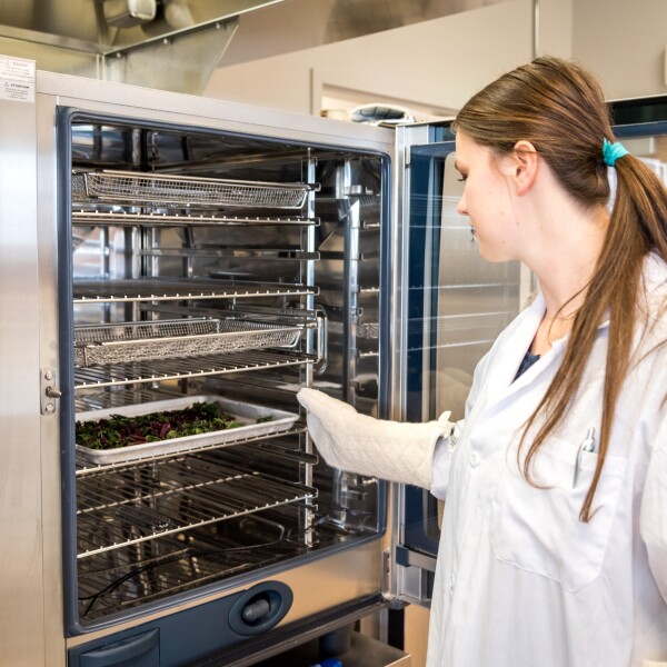 Students in the food science department work in the Processing Lab.