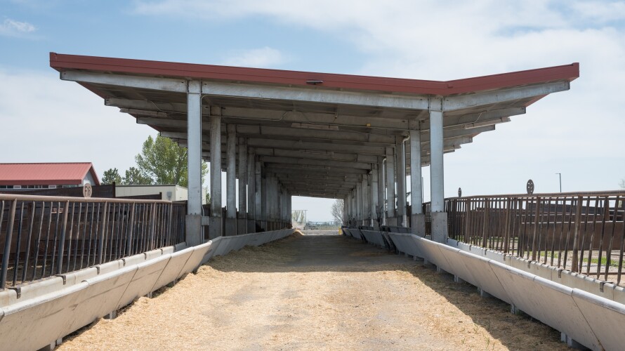 Some of the corrals at the New Livestock Center.
