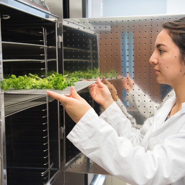 Food Science students work in the Lab in the STC.