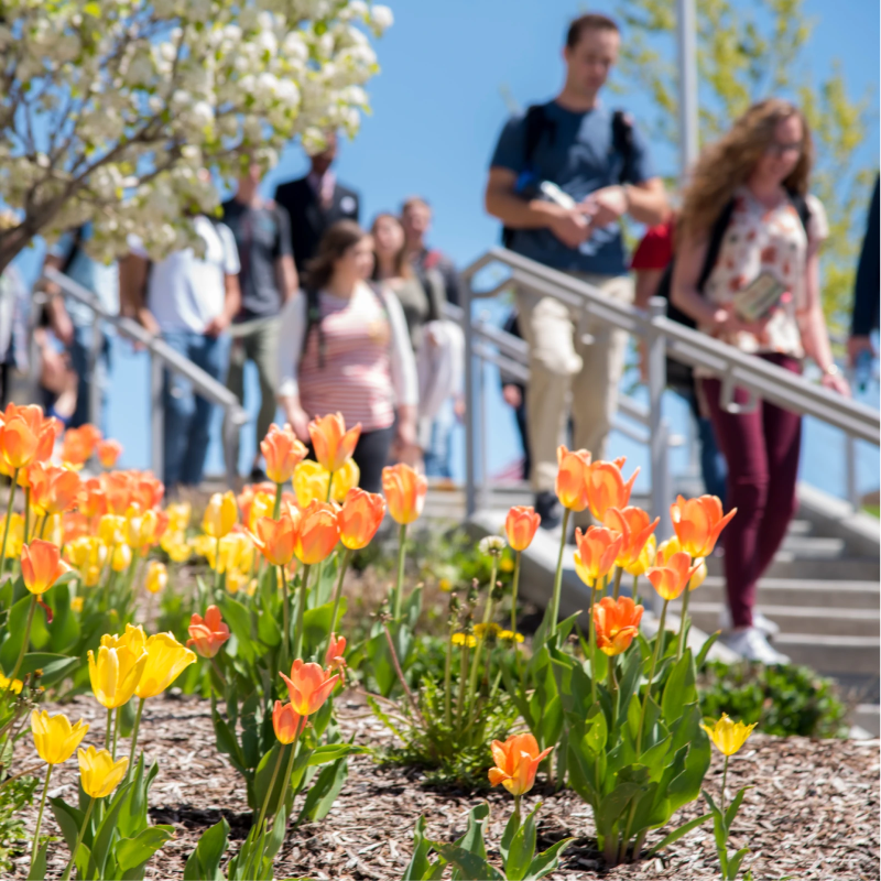 Students on campus in Spring Semester