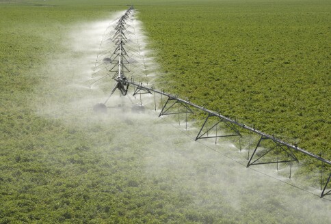 Aerial photos of Idaho agriculture