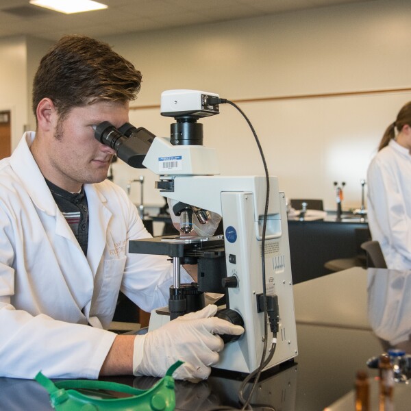 A male and a female student working in a Research Lab