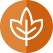 Fall semester icon