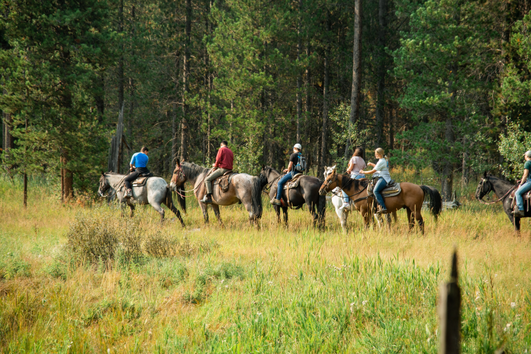 Some student life activities allow you to connect with nature, like this group of students who are horseback riding in an open field with forested trees in the background.