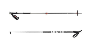 Ski Poles.png