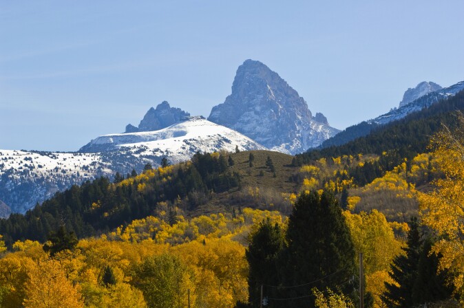 Tetons: Fall Splendor